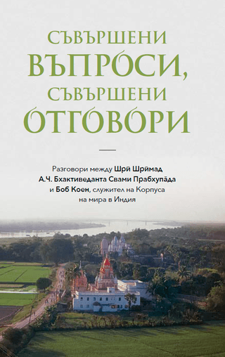 Съвършени въпроси, съвършени отговори