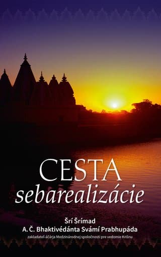 Cesta sebarealizácie